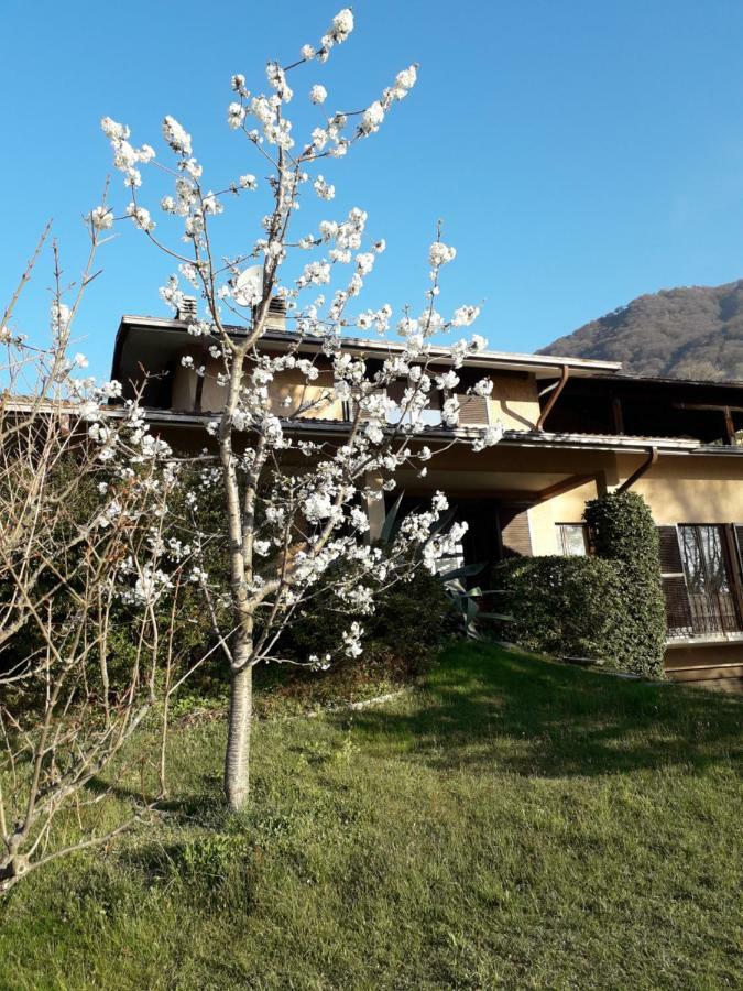 Agriturismo Badalone Domaso Buitenkant foto